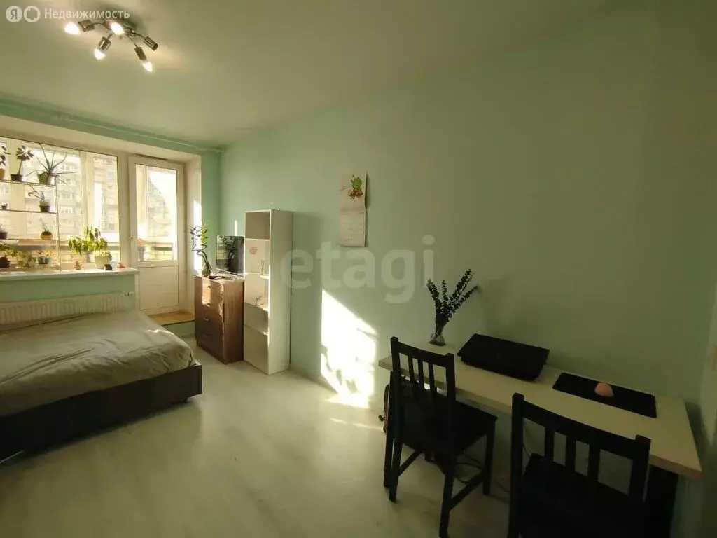 Квартира-студия: Санкт-Петербург, проспект Металлистов, 117 (24.1 м) - Фото 2