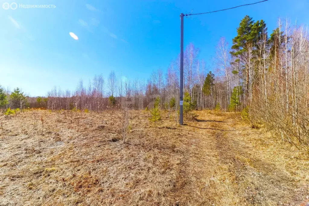 Участок в Тюменский район, деревня Головина (8.4 м) - Фото 1