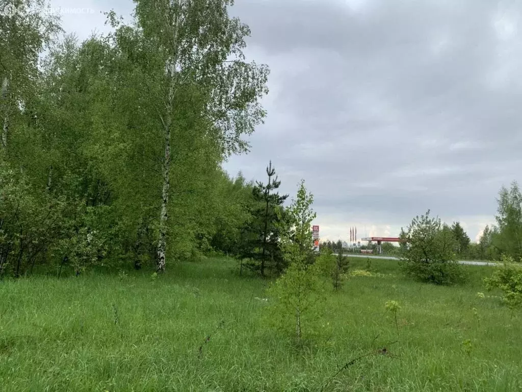 Участок в Нижегородская область, Павловский муниципальный округ, СТ № ... - Фото 1