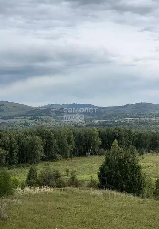 Участок в Алтайский край, Алтайский район, Айский сельсовет, с. Ая  ... - Фото 1