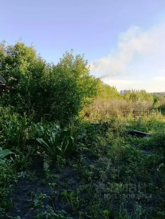 Участок в Омская область, Омск  (7.3 сот.) - Фото 2