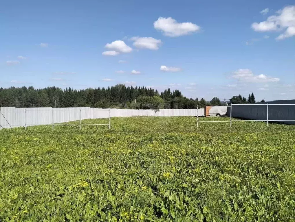 Участок в Кировская область, Кирово-Чепецкий район, Кстининское с/пос, ... - Фото 1