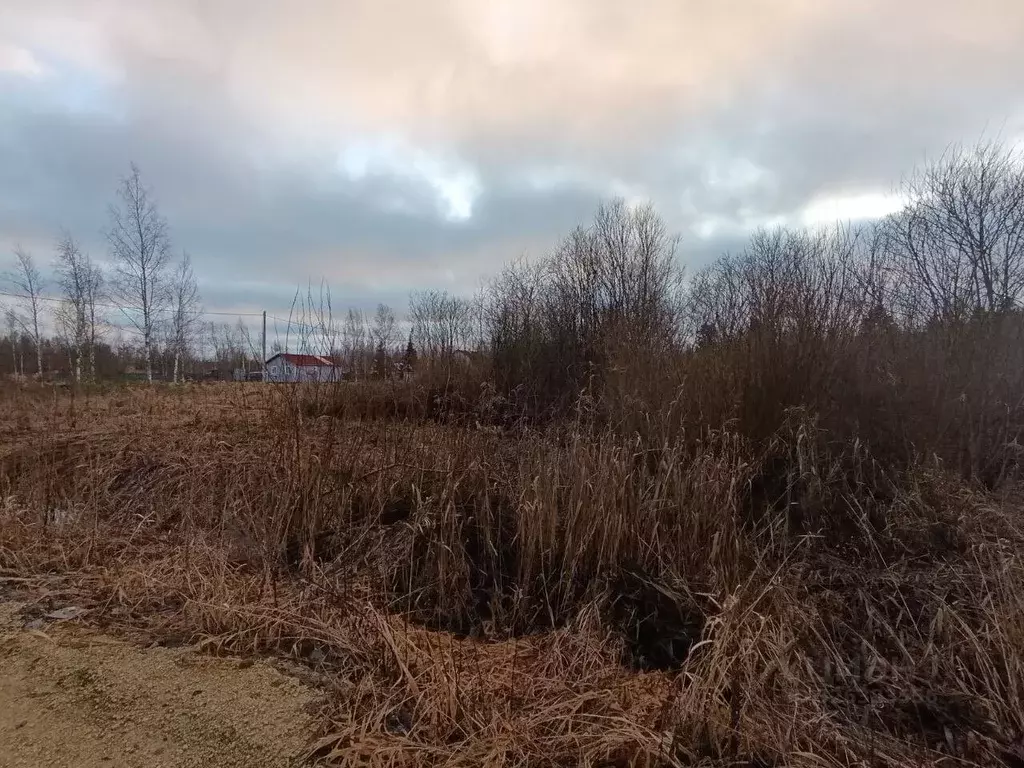 Участок в Ленинградская область, Гатчинский муниципальный округ, ... - Фото 2