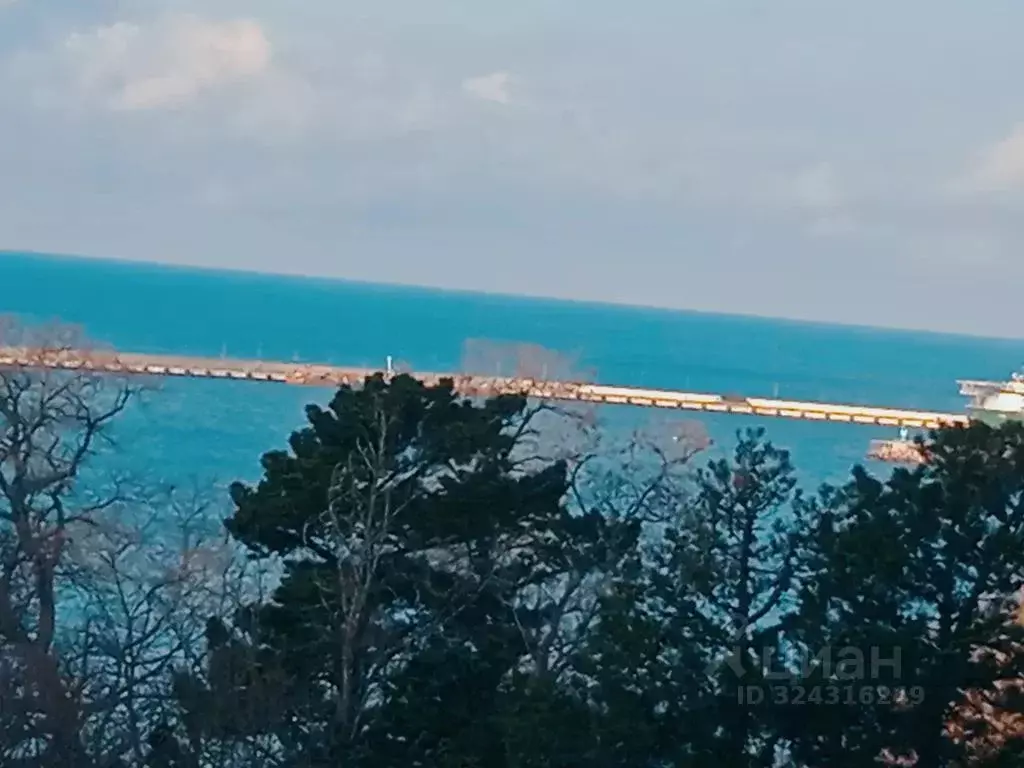 Студия Краснодарский край, Сочи Светлана мкр, ул. Депутатская, 10 ... - Фото 1