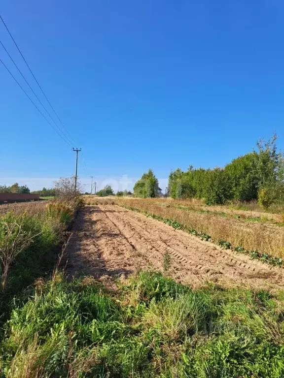 Участок в Новгородская область, Новгородский район, Ракомское с/пос, ... - Фото 1