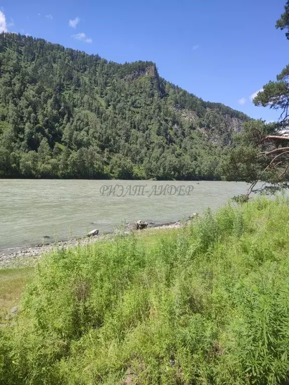 Участок в Алтай, Чемальский район, с. Анос Центральная ул., 41 (105.0 ... - Фото 1
