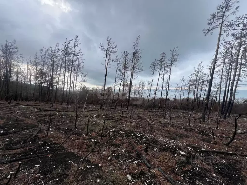 Участок в Краснодарский край, Геленджик  (6.58 сот.) - Фото 1