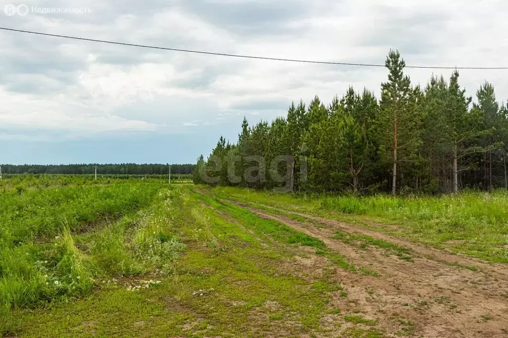 Участок в Свердловская область, посёлок городского типа Тугулым (6.84 ... - Фото 1