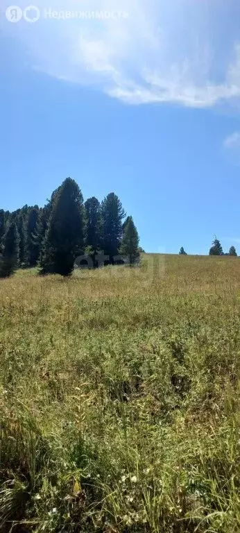 Участок в село Майма, Береговая улица (6 м) - Фото 0