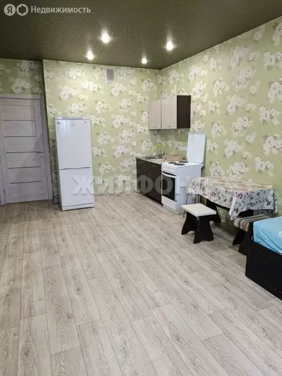 Квартира-студия: Новосибирск, улица Виктора Уса, 4 (31.2 м) - Фото 0