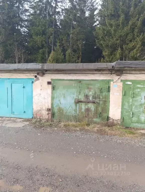 Гараж в Свердловская область, Нижний Тагил ул. Гастелло, 9 (22 м) - Фото 2