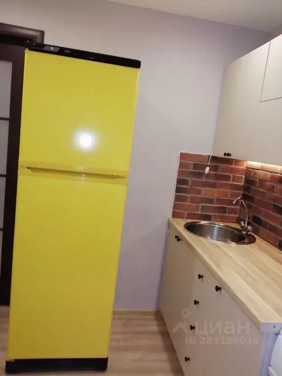 1-к кв. Удмуртия, Ижевск Пушкинская ул., 253 (35.0 м) - Фото 1