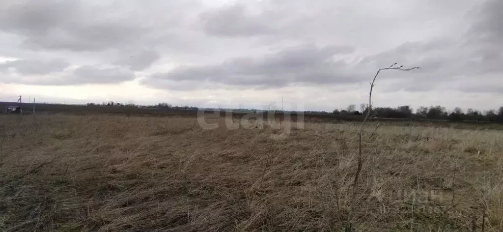 Участок в Вологодская область, Сокольский муниципальный округ, д. ... - Фото 1