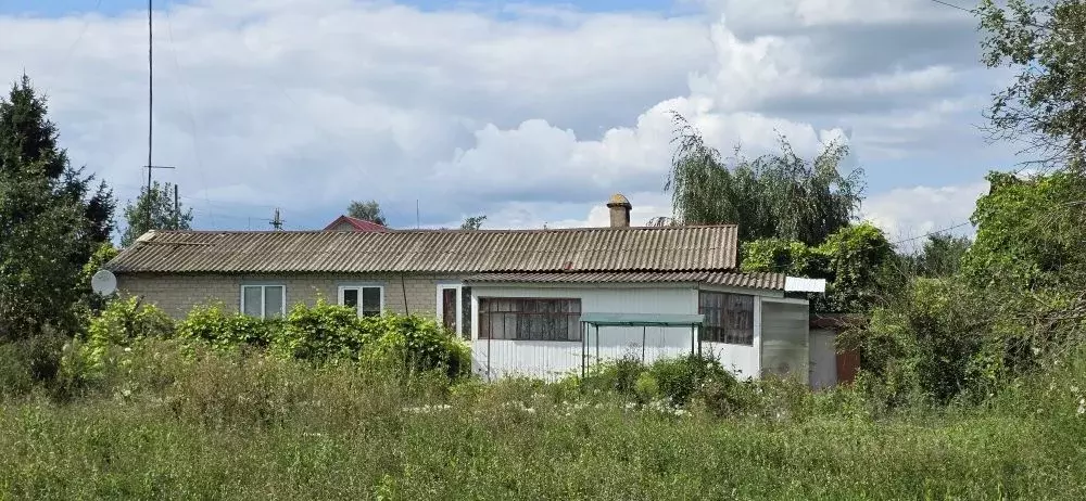 Дом в Липецкая область, Елецкий район, с. Воронец Воронецкая ул. (64 ... - Фото 1