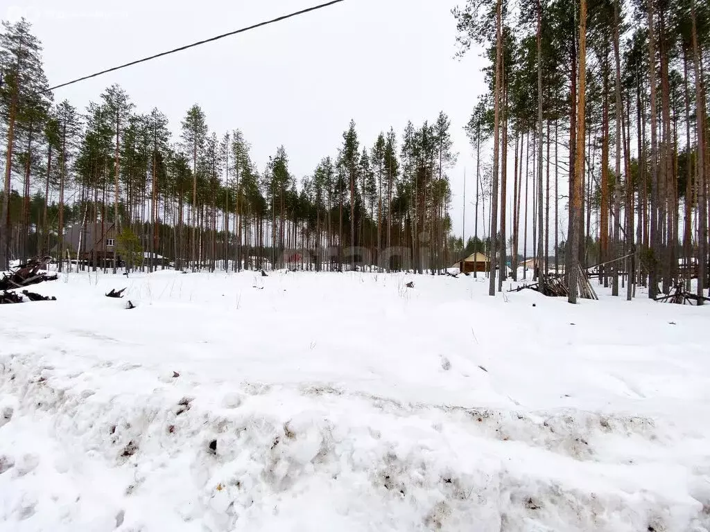 Участок в посёлок городского типа Краснозатонский, Линейная улица ... - Фото 0