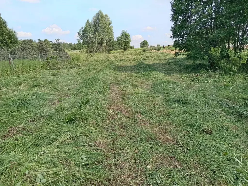 Участок 25 сот. (ИЖС) - Фото 1