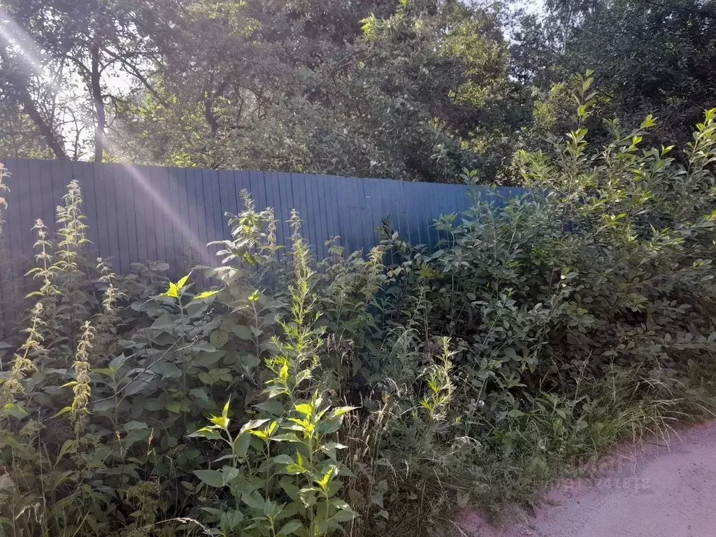 Дом в Московская область, Балашиха городской округ, д. Черное ш. ... - Фото 1