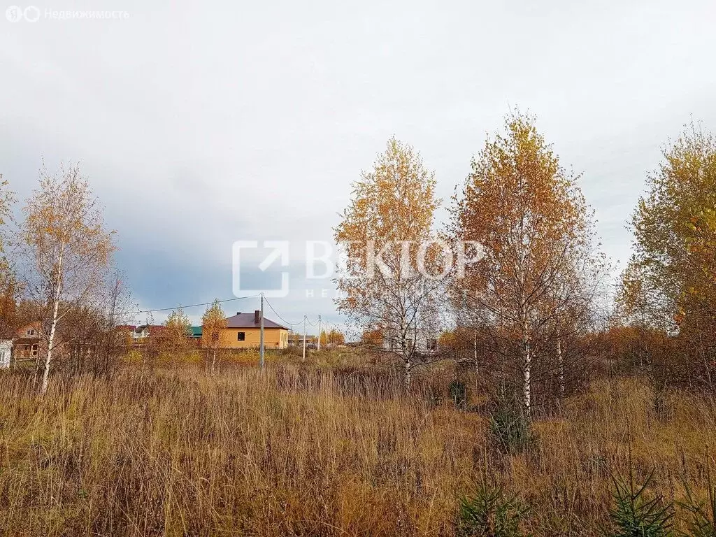 Участок в Костромской район, Самсоновское сельское поселение, деревня ... - Фото 1