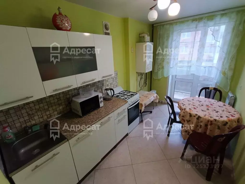 1-к кв. Волгоградская область, Волгоград ул. Грибанова, 19 (28.0 м) - Фото 1