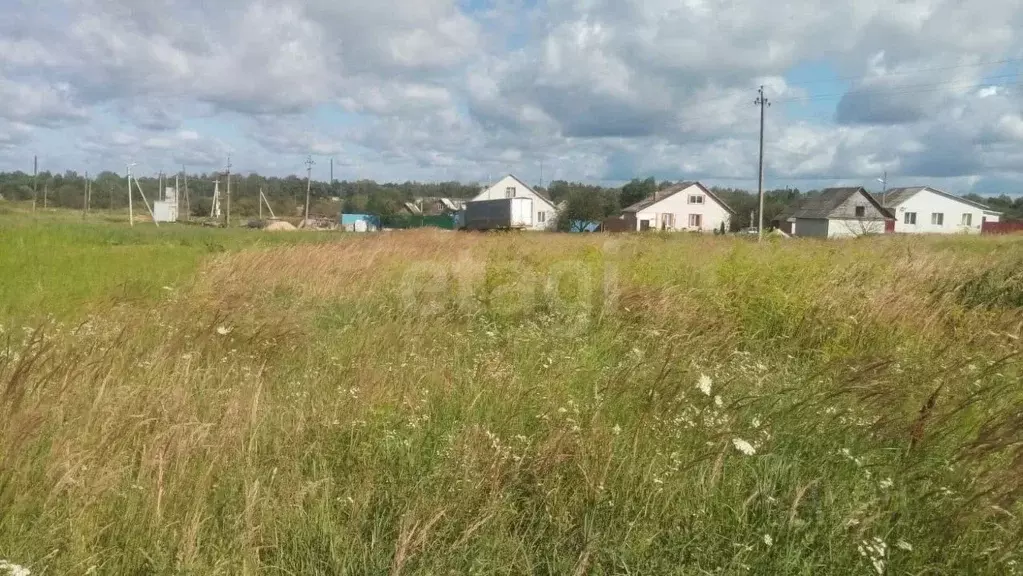 Участок в Брянская область, Трубчевск пер. 2-й Овражный (10.5 сот.) - Фото 1