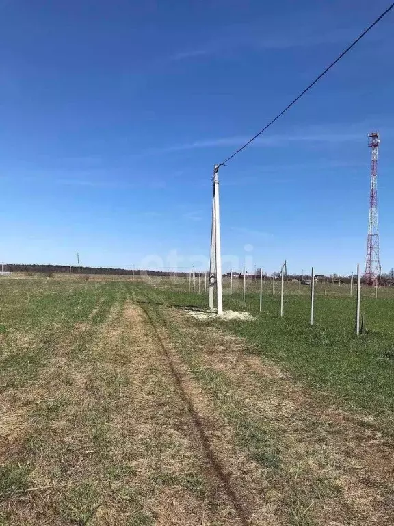 Участок в Брянская область, Брянский район, Новодарковичское с/пос, д. ... - Фото 0