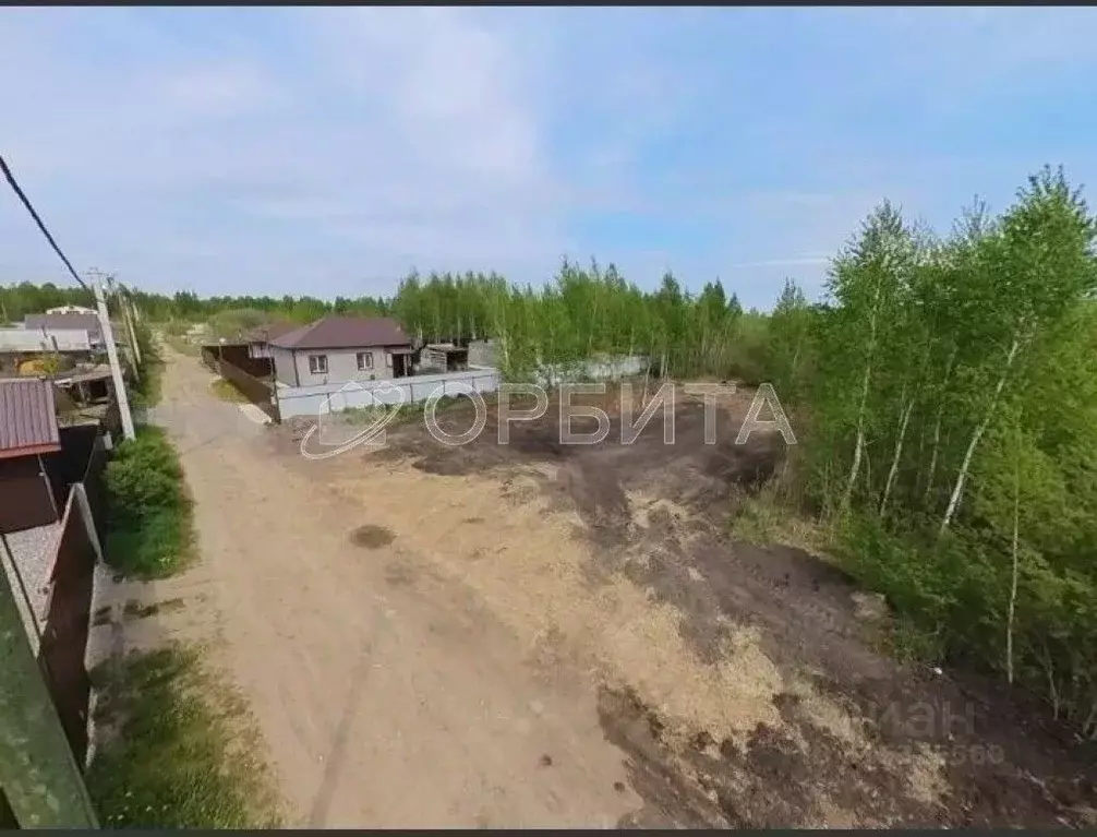 Участок в Тюменская область, Тюмень Садовое товарищество Липовый ... - Фото 1