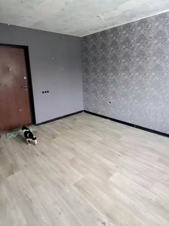 Комната Нижегородская область, Нижний Новгород Березовская ул., 106 ... - Фото 2