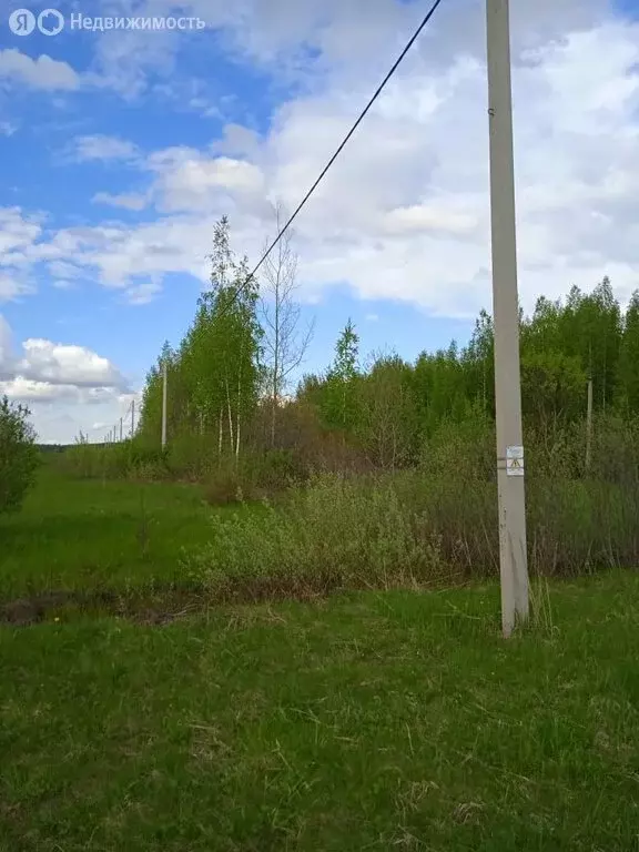 Участок в Новгородская область, Чудовский муниципальный район, ... - Фото 2