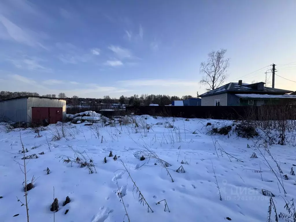 Участок в Новосибирская область, Новосибирский район, с. Барышево ул. ... - Фото 1