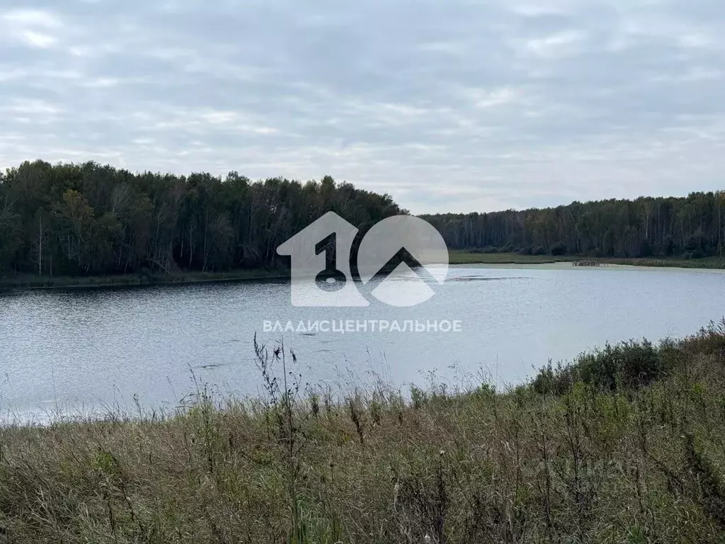 Участок в Новосибирская область, Новосибирский район, Станционный ... - Фото 0