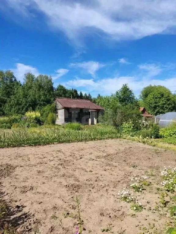 Участок в Кировская область, Киров  (6.6 сот.) - Фото 1