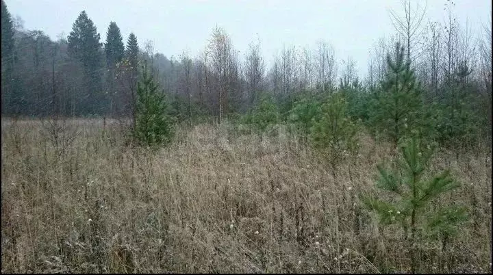 Участок в Кировская область, Киров городской округ, д. Чарушины ул. ... - Фото 0