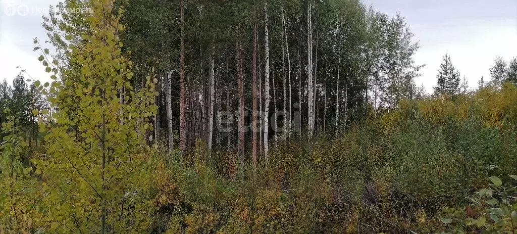 Участок в посёлок городского типа Верхняя Максаковка, 3-я линия (10.32 ... - Фото 0