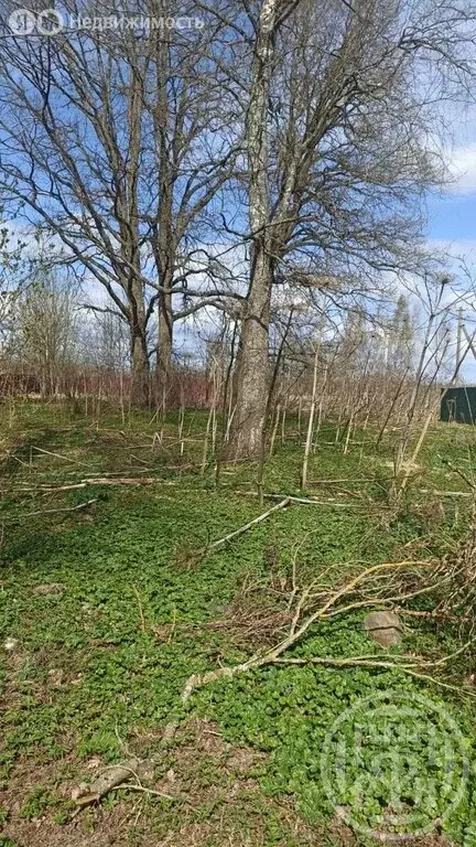 Участок в Заклинское сельское поселение, деревня Заполье (Каменская ... - Фото 1