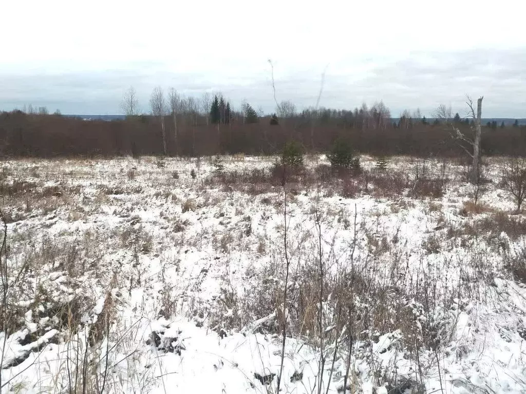 Участок в Вологодская область, Великоустюгский муниципальный округ, ... - Фото 1