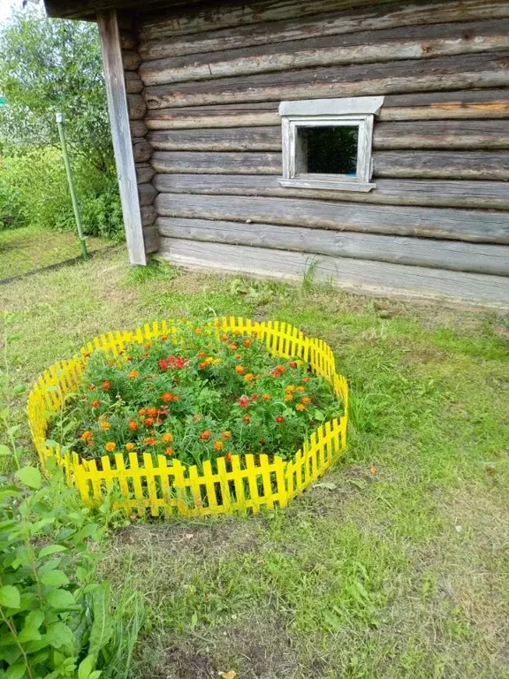 Дом в Ленинградская область, Тихвин Березовская ул., 14 (65 м) - Фото 2