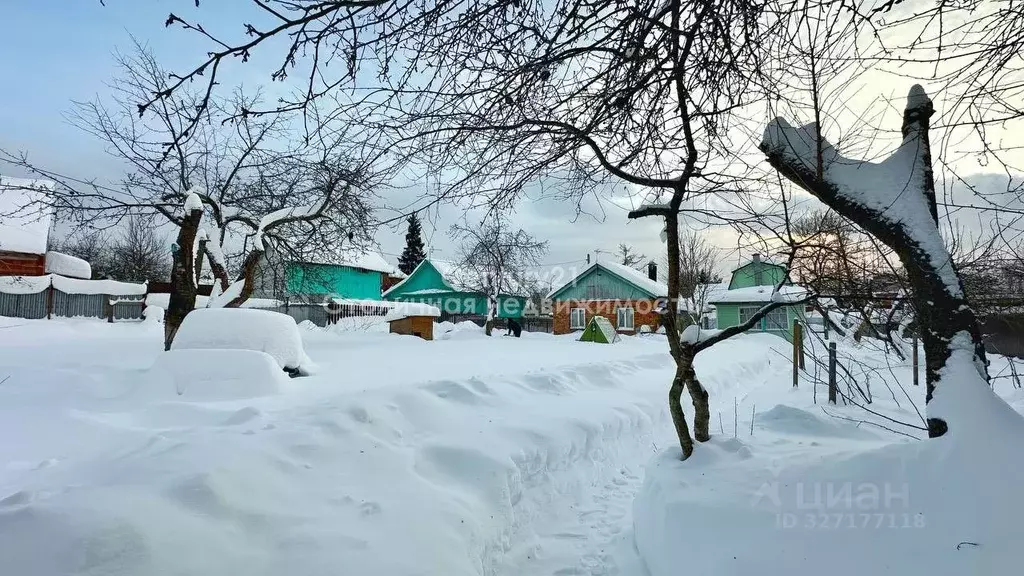 Участок в Московская область, Щелково городской округ, д. Набережная ... - Фото 2