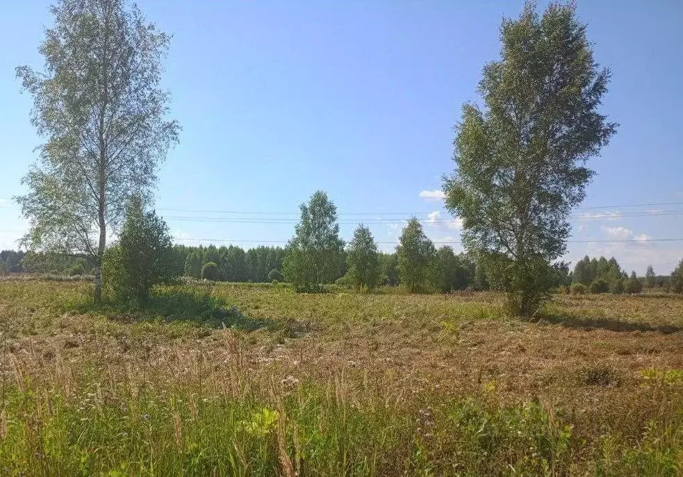 Участок в Тверская область, Конаковский муниципальный округ, с. ... - Фото 0