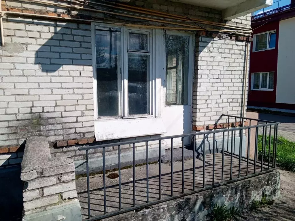 1-к кв. Ленинградская область, Приозерский район, Ромашкинское с/пос, ... - Фото 1