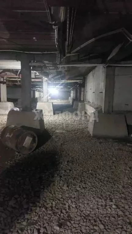 Помещение свободного назначения в Новосибирская область, Новосибирск ... - Фото 2