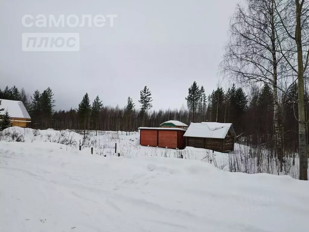 Участок в Коми, Сыктывкар городской округ, Верхняя Максаковка пгт ул. ... - Фото 1