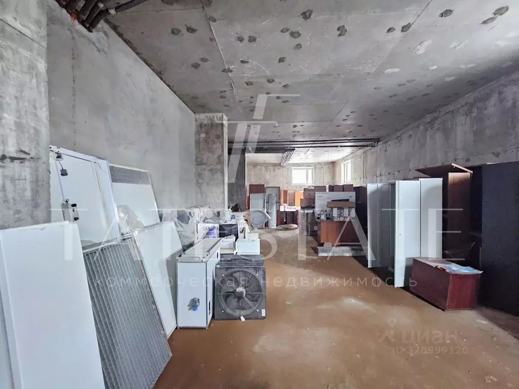 Офис в Татарстан, Казань ул. Восстания, 80А (30 м) - Фото 1