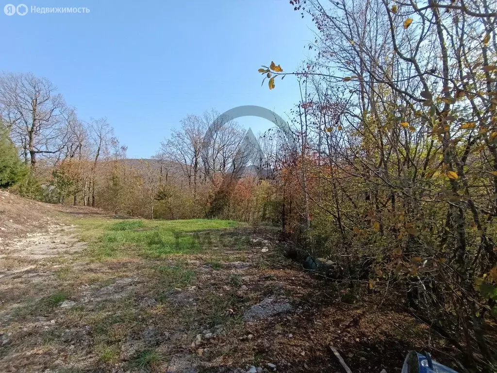 Участок в Краснодарский край, Туапсинский муниципальный округ, посёлок ... - Фото 2