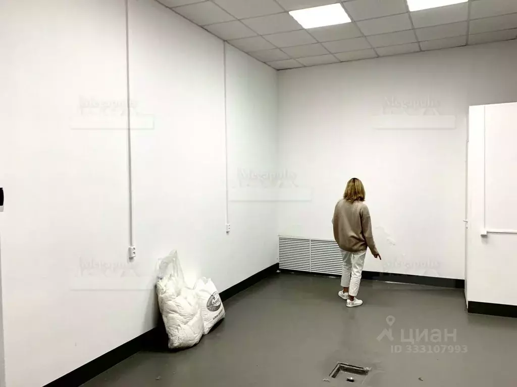 Помещение свободного назначения в Санкт-Петербург Большая Монетная ... - Фото 1