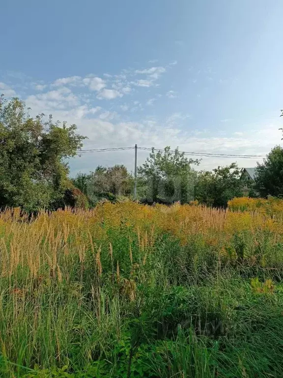 Участок в Тульская область, Тула городской округ, д. Струково  (13.0 ... - Фото 2