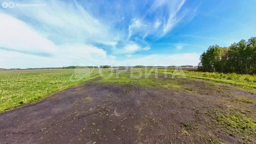 Участок в Тюменский район, село Горьковка (9 м) - Фото 0