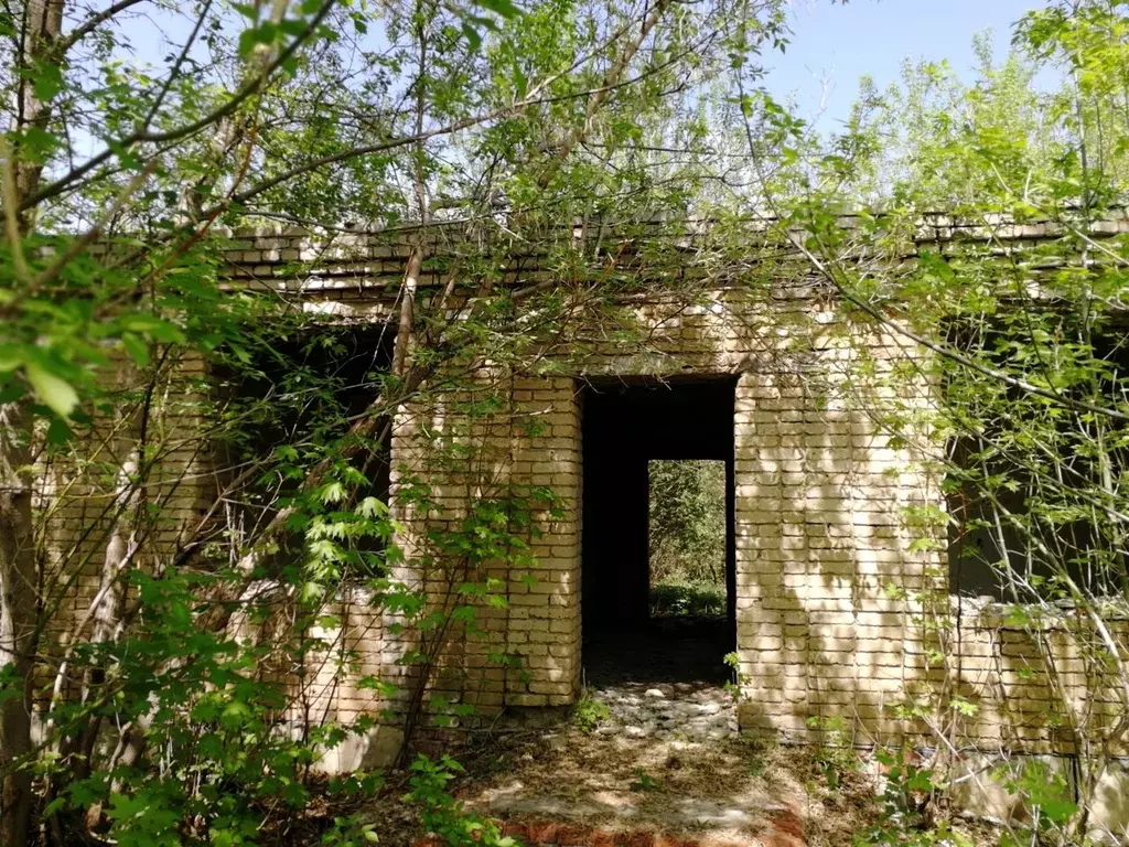 Помещение свободного назначения в Тамбовская область, Умет рп ул. ... - Фото 1