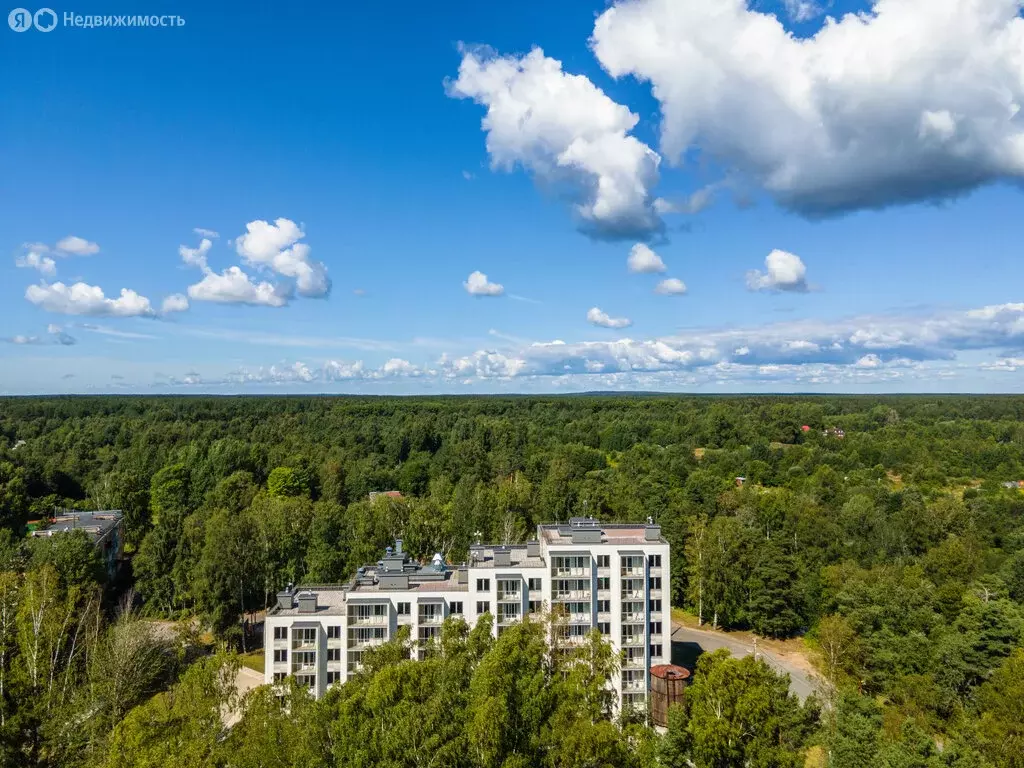 3-комнатная квартира: посёлок Молодёжное, улица Правды, 6Б (88.41 м) - Фото 2