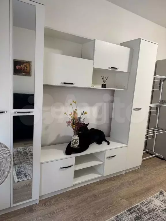 Квартира-студия, 22 м, 4/17 эт. - Фото 1