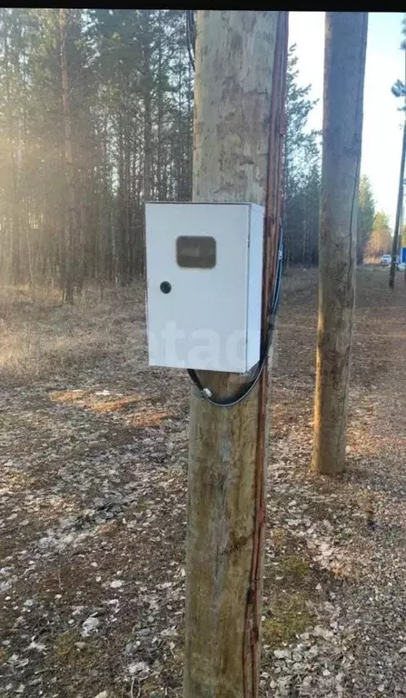 Участок в Красноярский край, Емельяновский муниципальный округ, ... - Фото 1